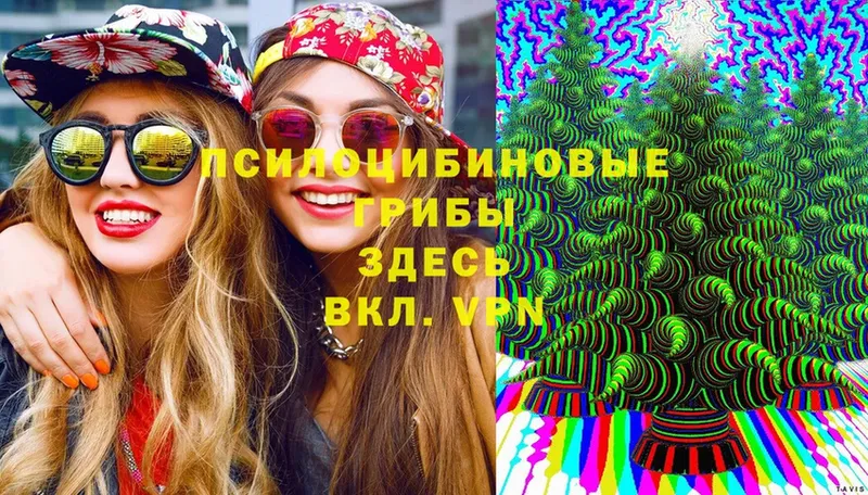 блэк спрут вход  Нововоронеж  Псилоцибиновые грибы Psilocybe 